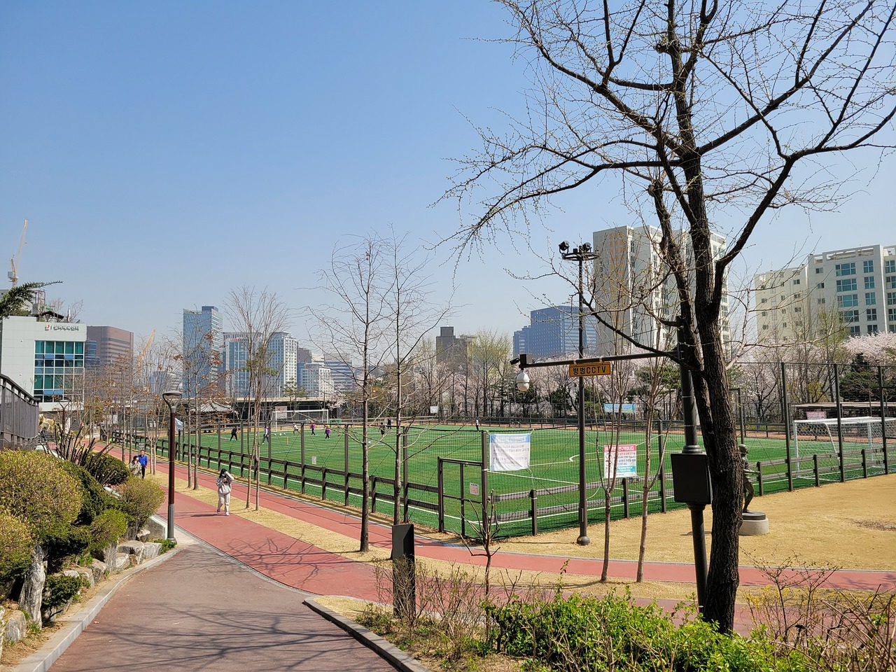 显然不仅是 显然不仅是